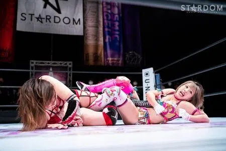 Mina Shirakawa
