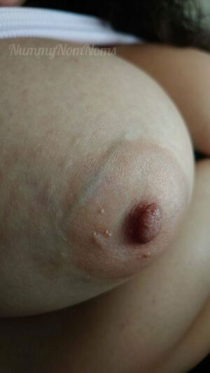 Nummynomnoms / nummy.num