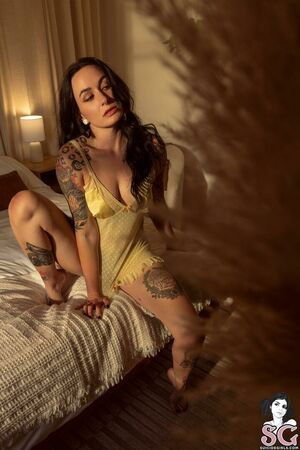 Swampxcricket / swampxxcricket