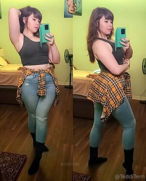 tedditerri / tedditerrifans