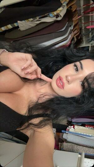 Pdylan550 / parisdylan550