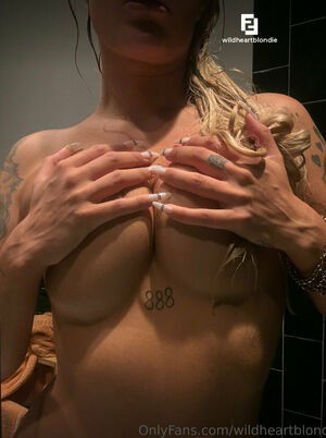 wildheartblondie / wildheartblondie...