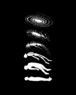 PhattGirlsOfficial / phattgirlcoco