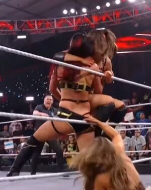 Jacy Jayne / NXT / jacyjaynewwe