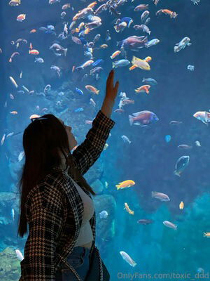 _lilt0xic_ / dassy_toxic