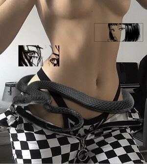 SakuraKhyu / yuusakura_official