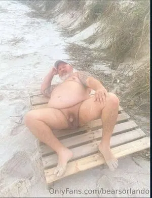 bearsorlando
