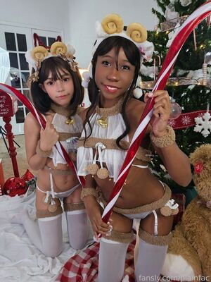 Plainfac / plainfacchip / user