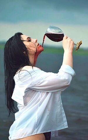 brazerie lingerie models / brazerie_lingerie