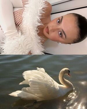 Millie Hannah / explicittbabe / milliehannahhh