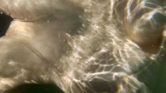 AADaddario / Alexandra Daddario / alexandradaddario