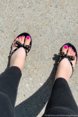 galinaxofanclub / therealgalinaxo