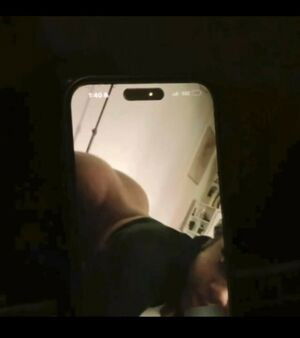 Dabombbestmari / Ririgotfans / dabombbest.mari