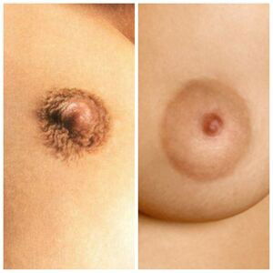 Kitty Lea / Miss KL Discussion Thread