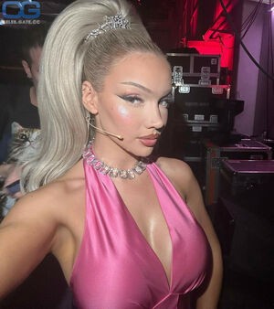 Shirindavid