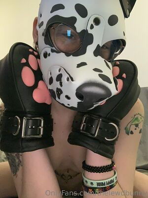 thelewdbunny / thelittlebluebunny