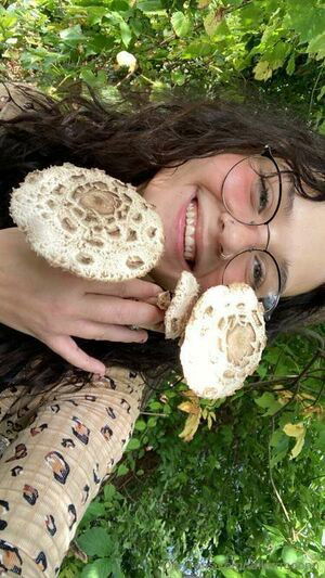 Tailorrmoon / Tailorrmoonn