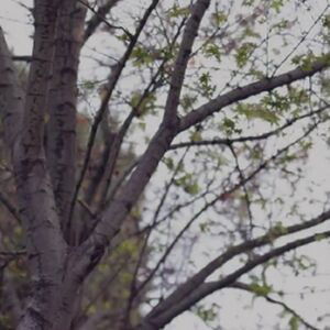 Delilah Blue / DelilahXoxox / delilahbleu / delilahbluexoxo / delryd