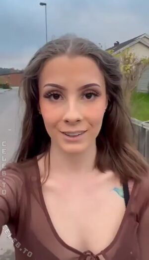 Msdami / damania / ms._damania