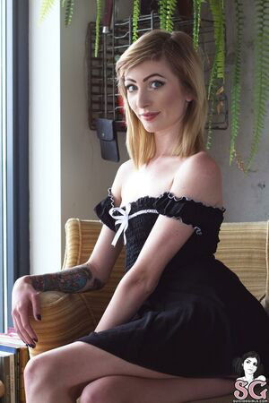 142953636 / Lunchbox / radiolunchbox