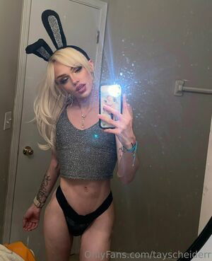 tayscheider / tayscheiderr