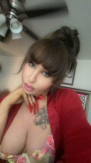 Safari Star / safari_star / tssafaristar