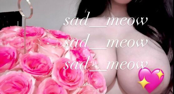Sad_meow / sad.soft / sadmeoow