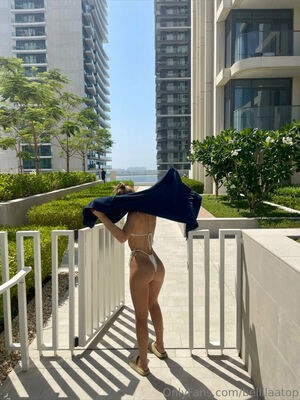 bellagraceweems / bellllaatop