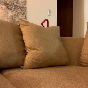 thebunnynamedolive / theolivebunny