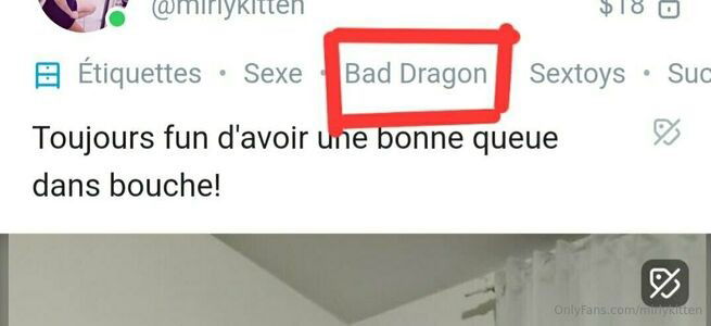 baby_sushiroll14 / mirlykitten