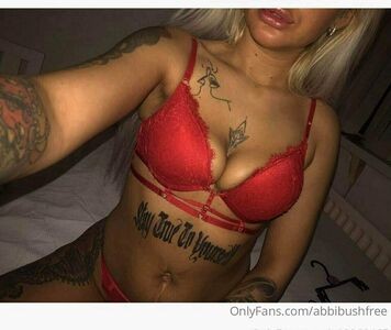 abbibushfree