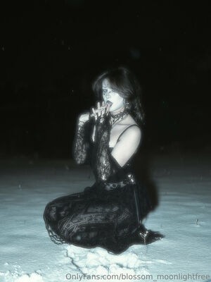 blossom_moonlightfree