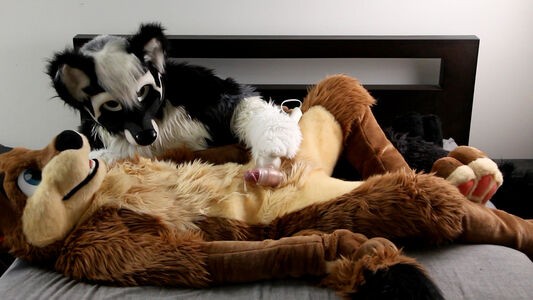 BigPawbs