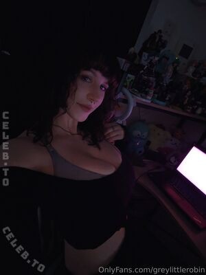 Robin Grey