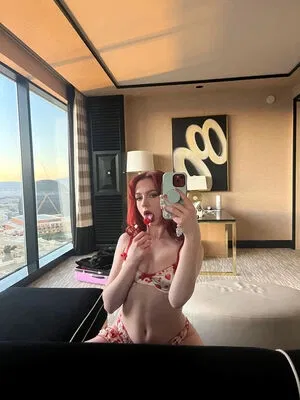 haleysvision
