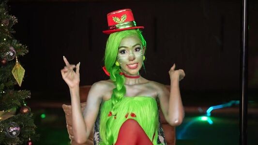 amniemodel
