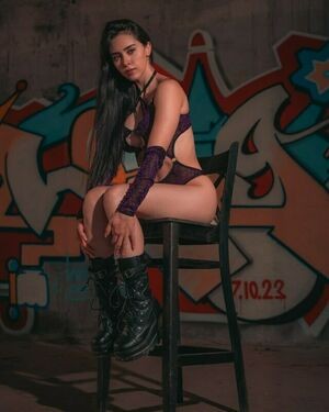 Vixensol
