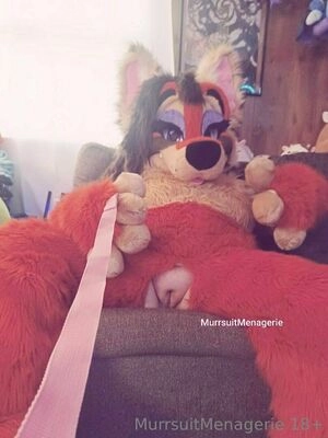 murrsuitmenagerie