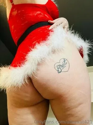 Alleykat421