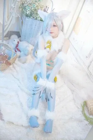 cheese起起子