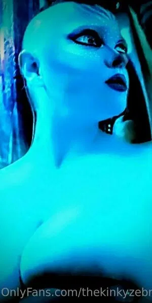 thekinkyzebra