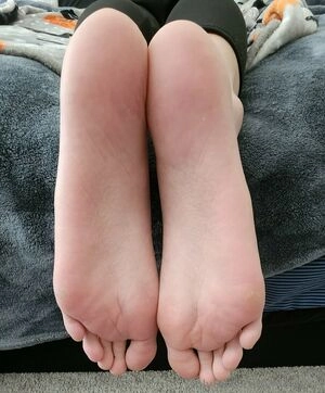 meisoles