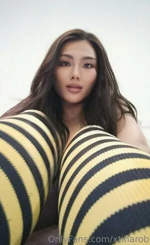 xtinarob