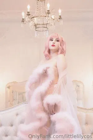 littlelilycos