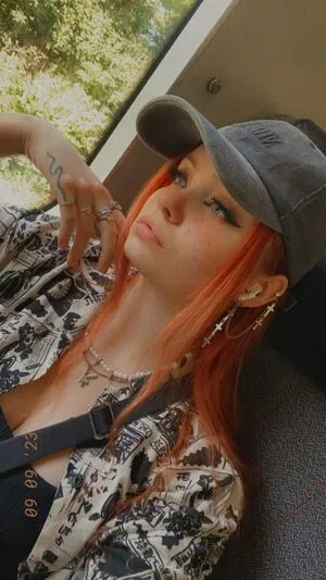 Proxyfox