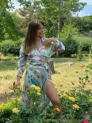 stepsiscaprice