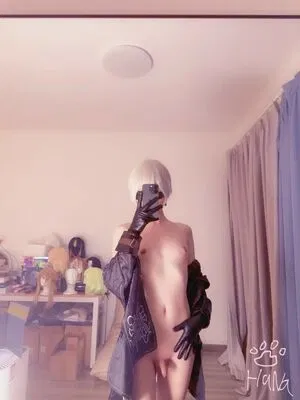 NyaruShiro