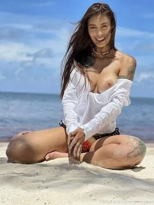 cattleyaxo