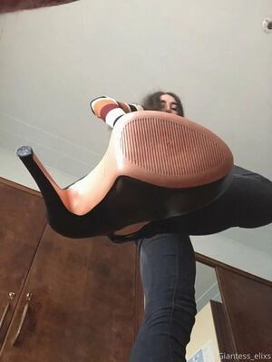 giantesselixs