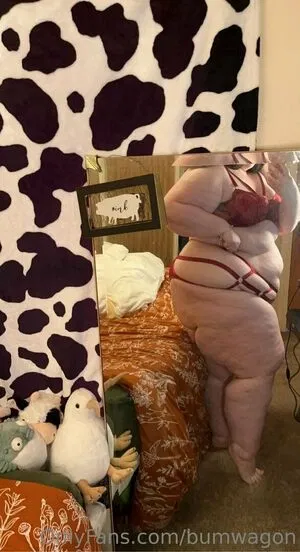 bumwagon
